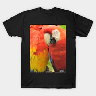 Bird lovers T-Shirt
